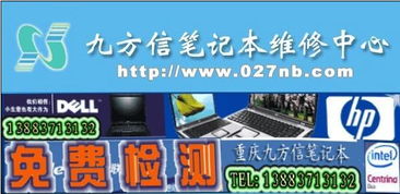 一呼百应公司频道